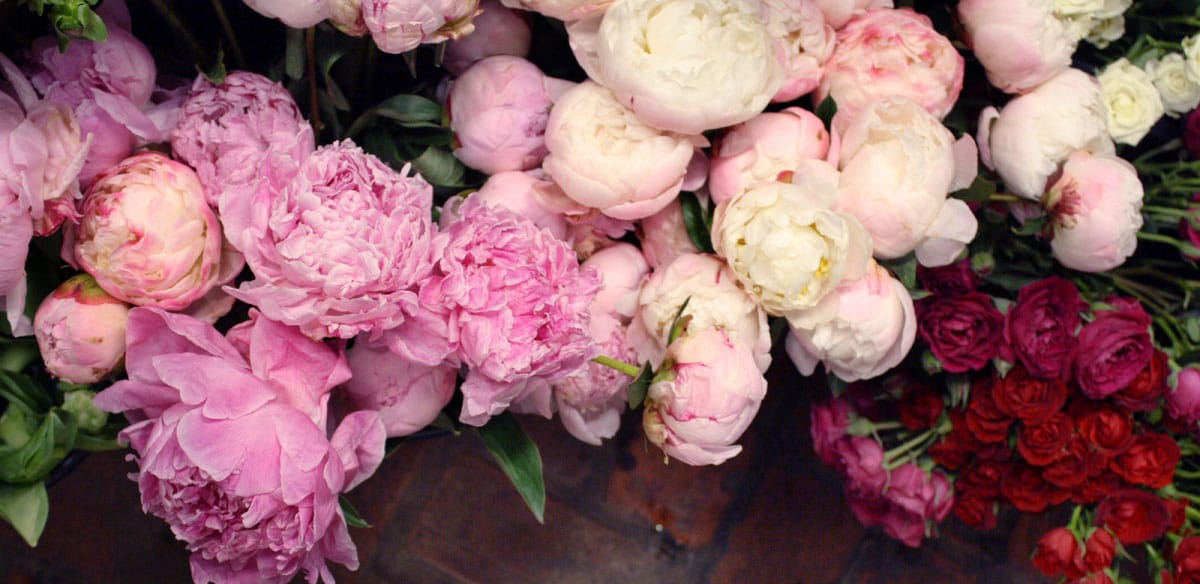 About Valley Flowers Wayne, PA Florist